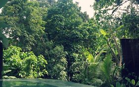 Raka Rai Bungalows